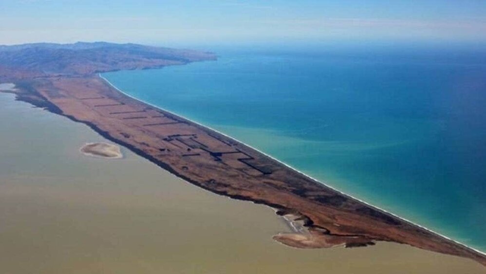 Project Tāwhaki at Kaitōrete Spit  