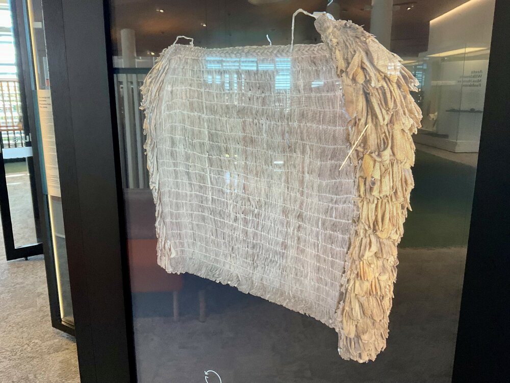 Pākē tikumu, rainproof cape thatched with tikumu leaves, Celmisia sp