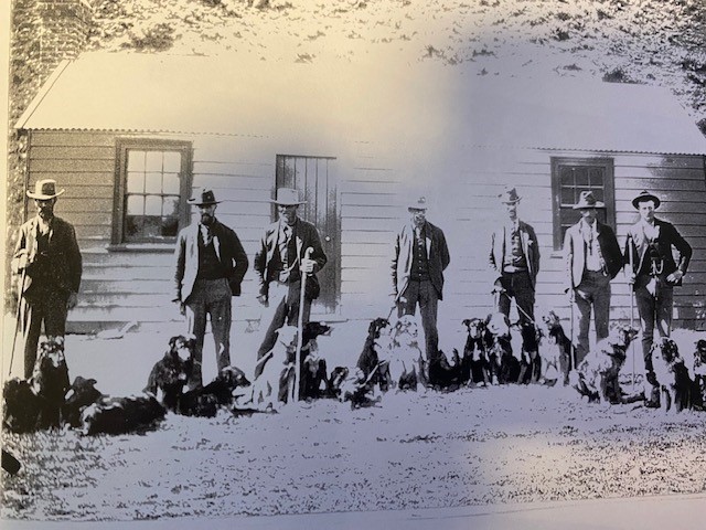 High Country musterers  with their dogs