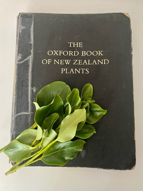 Lucy Moore's 'The Oxford Book of New Zealand Plants'