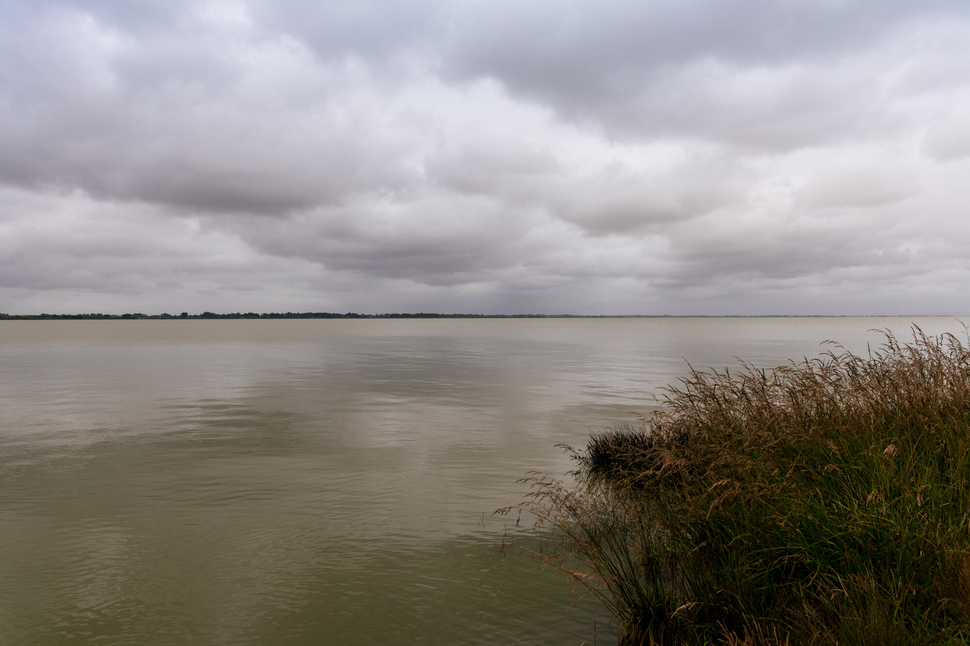Te Waihora Lake Ellesmere
