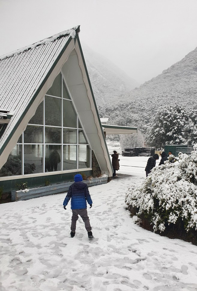 Snowfall at Arthur's Pass, July 2022