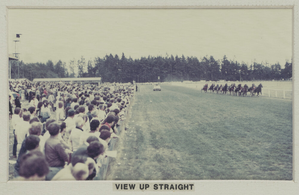 Hororāta Racecourse view of race track at farewell meeting of the Hororāta Trotting Club, 10 March 1984