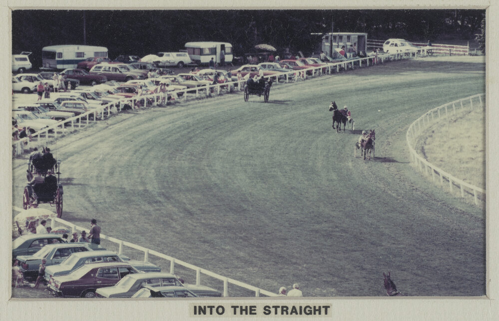 Horses race into the straight at the farewell meeting of the Hororāta Trotting Club, Hororāta Racecourse, 10 March 1984