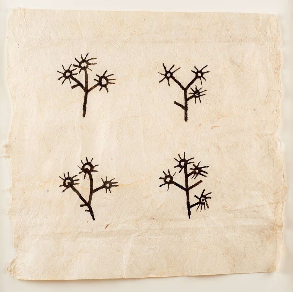 Cora-Allan Lafaiki Twiss, Plant Sampler 1