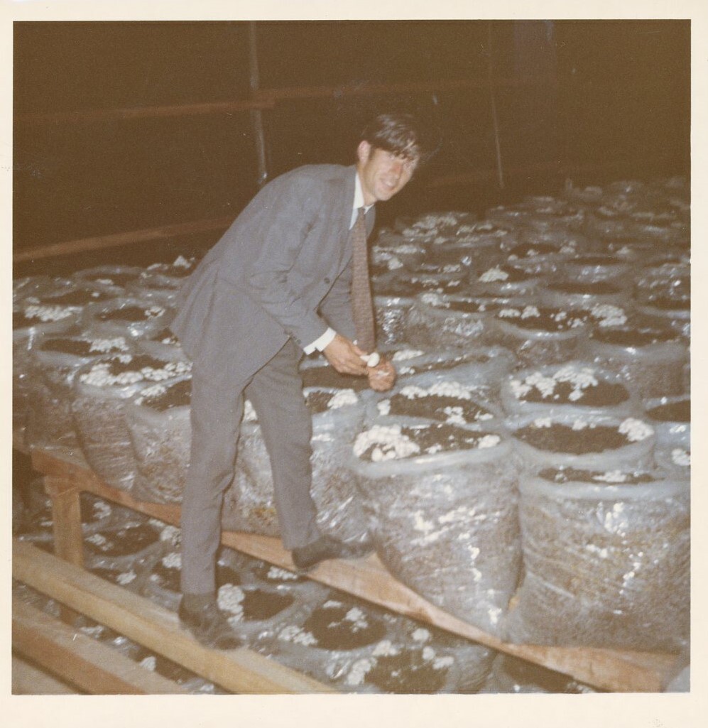 Philip Burdon in mushroom growing shed
