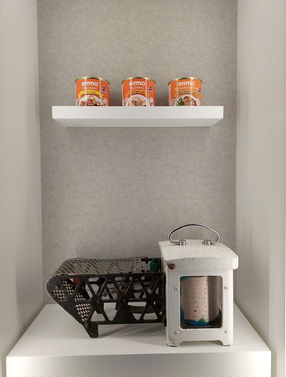 Meadow Mushrooms hygrometer and cans of Emma Mushrooms