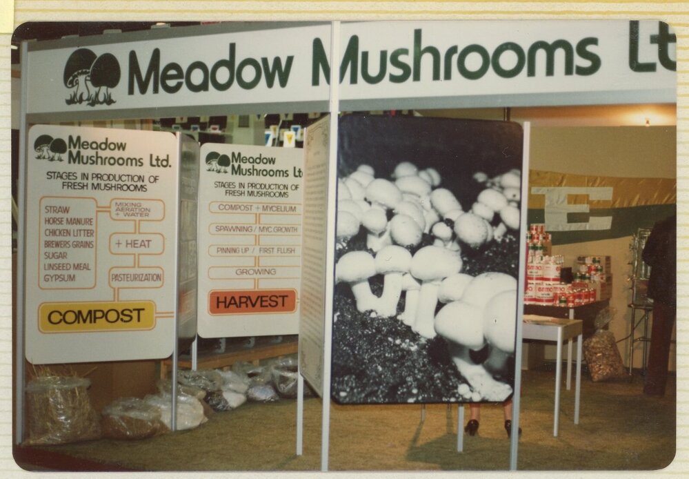 Meadow Mushrooms stand at trade show, 1977