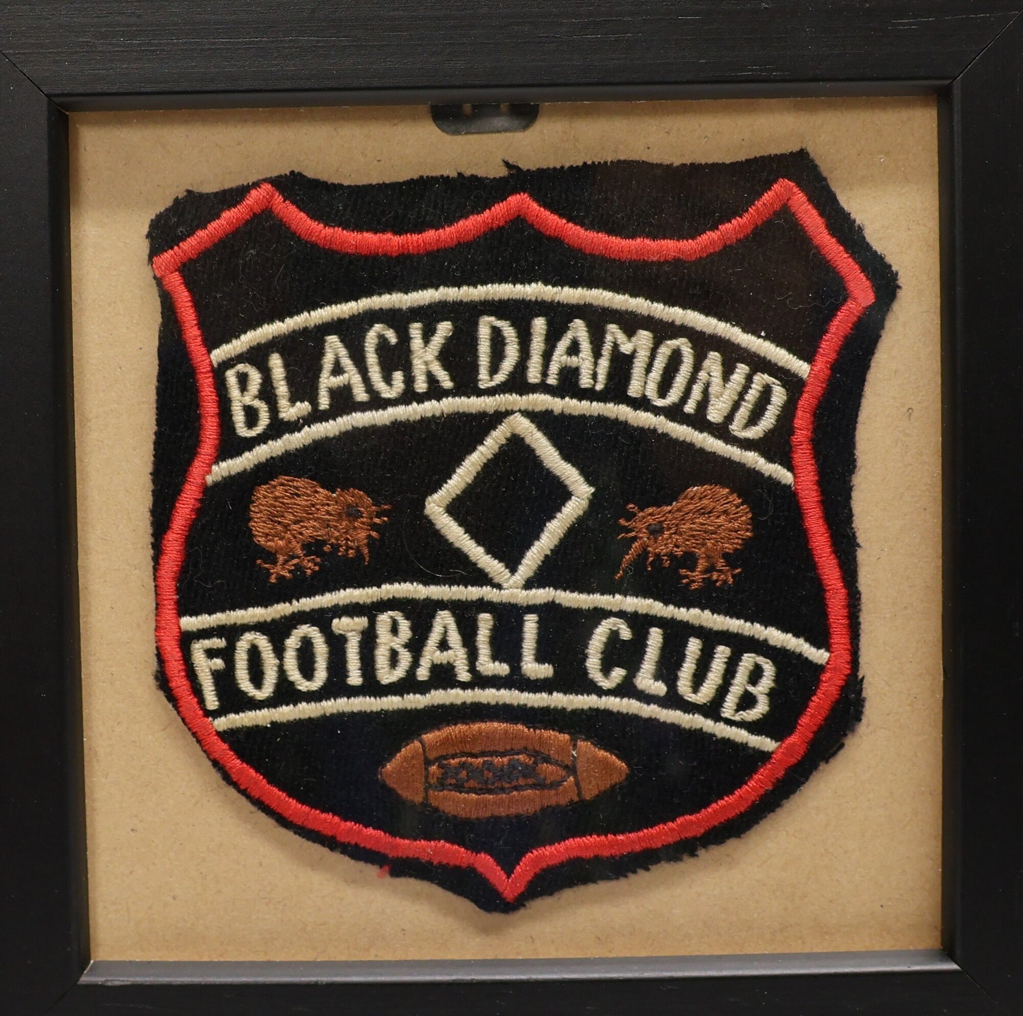 Badge of Black Diamond Football Club