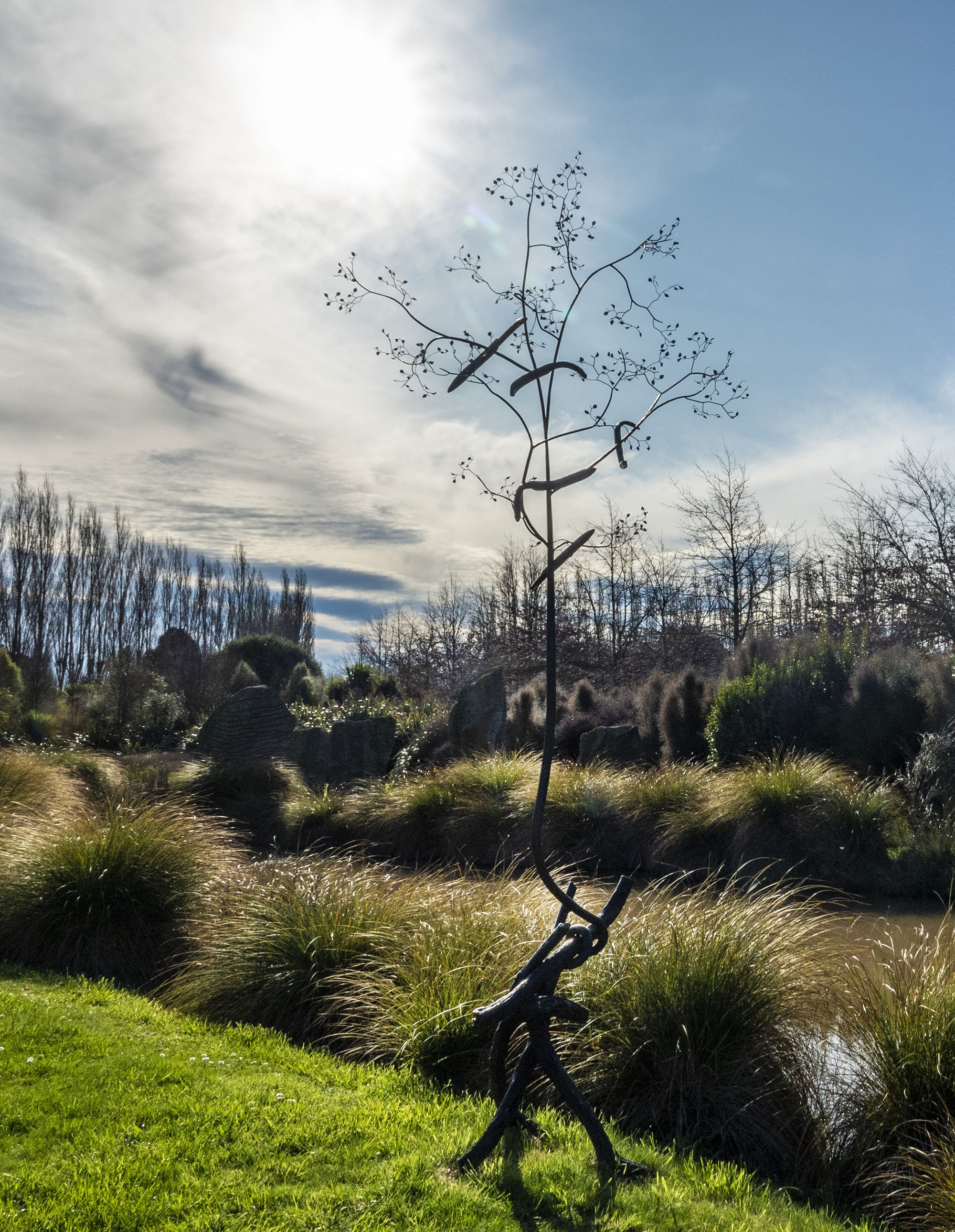 Bing Dawe, sculpture of Towards Repair &ndash; Gorse as a Nursery &ndash; Composition with gorse, NZ beech and tuna from Hinewai (2002) 