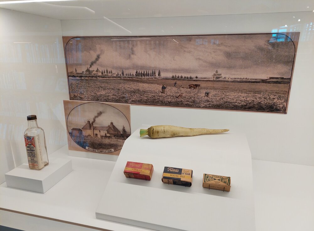 Chicory exhibition case, Te Ara Ātea