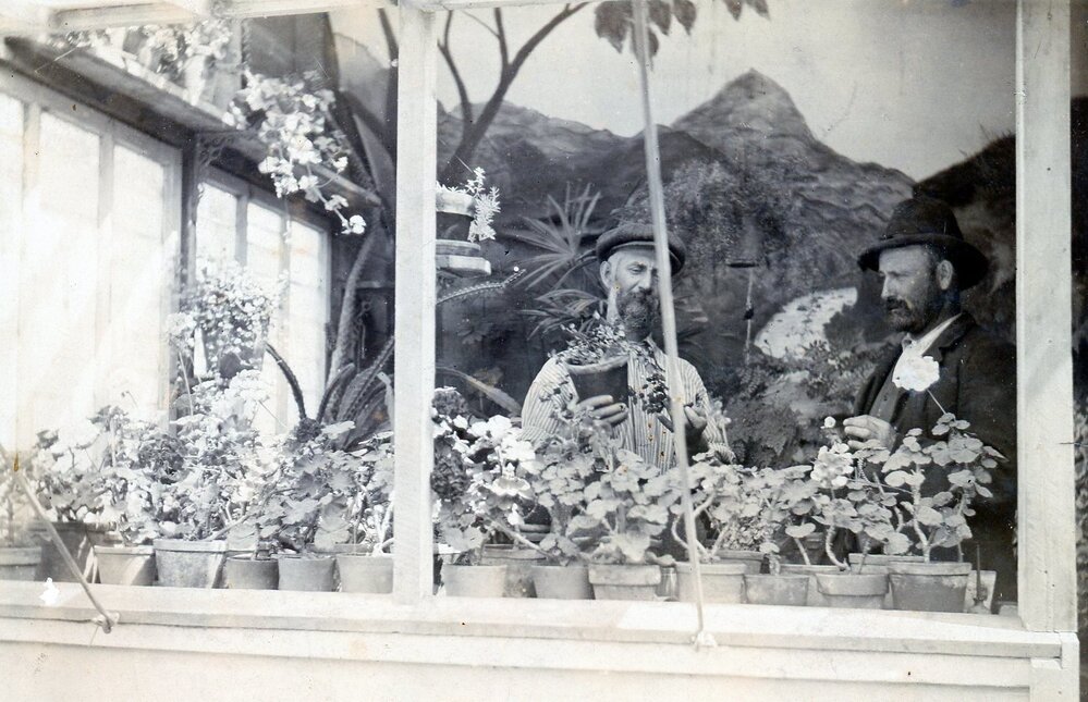 Phillip Rousham tending his plants