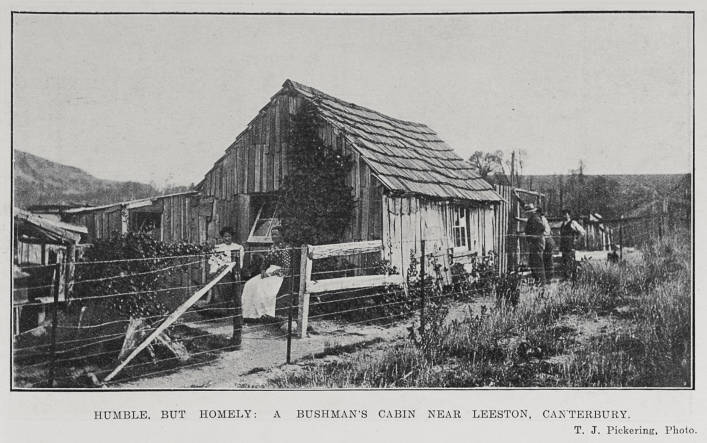 A bushman's cabin near Leeston, Canterbury