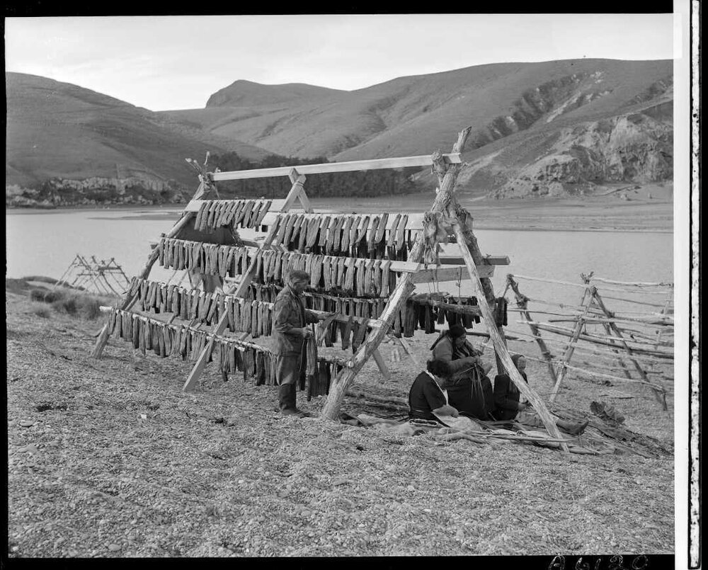 Eeling at Lake Forsyth