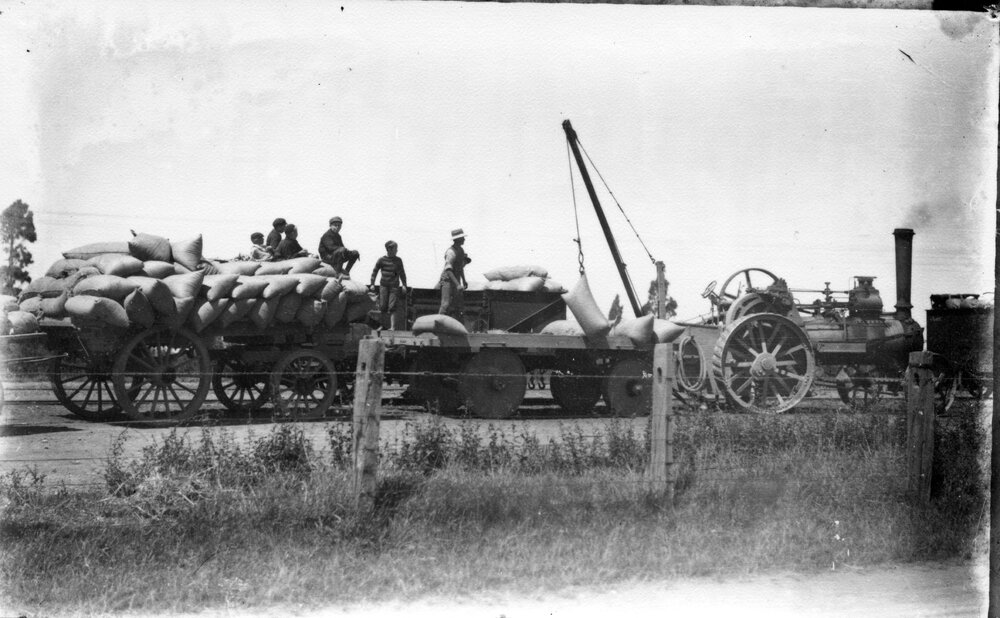 Loading grain onto railway wagons at Dunsandel Station