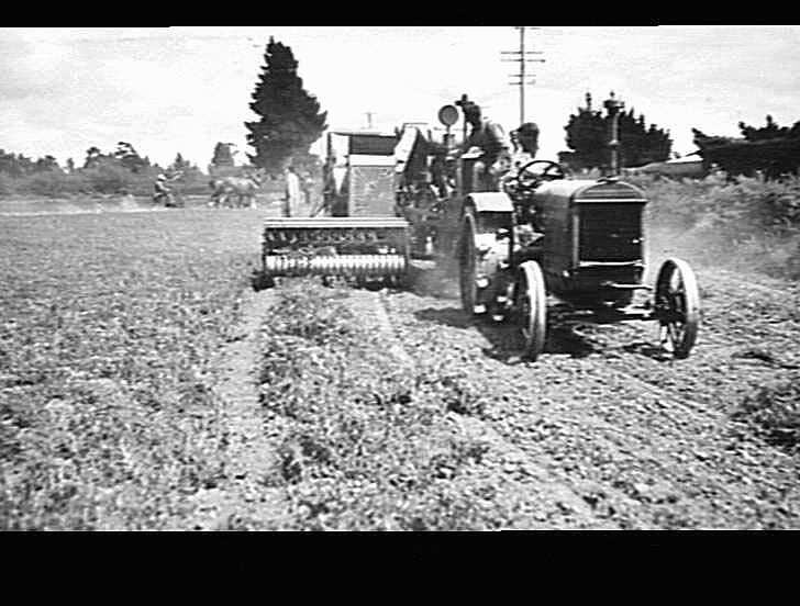 Engine functioned header with pick up harvesting peas at J. Boyce's farm, Lincoln
