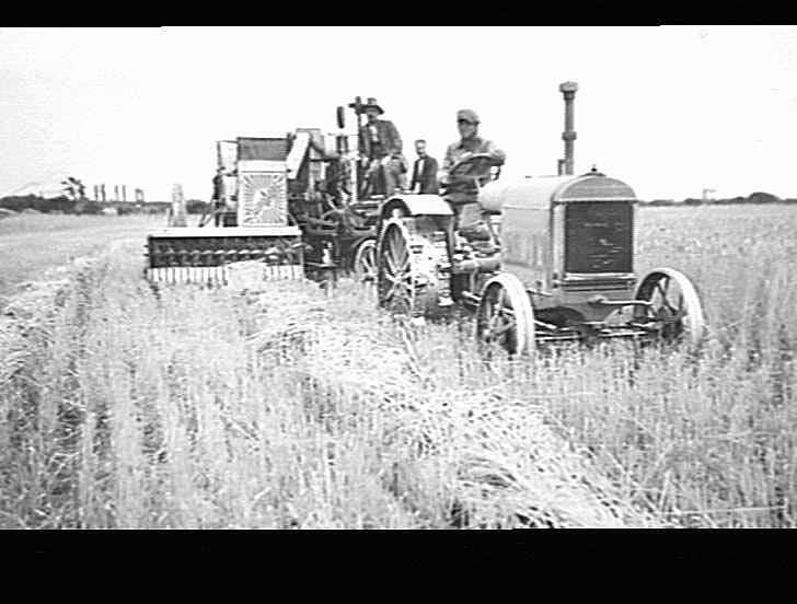 Engine functioned header with pick up harvesting wheat at J. Boyce's farm, Lincoln