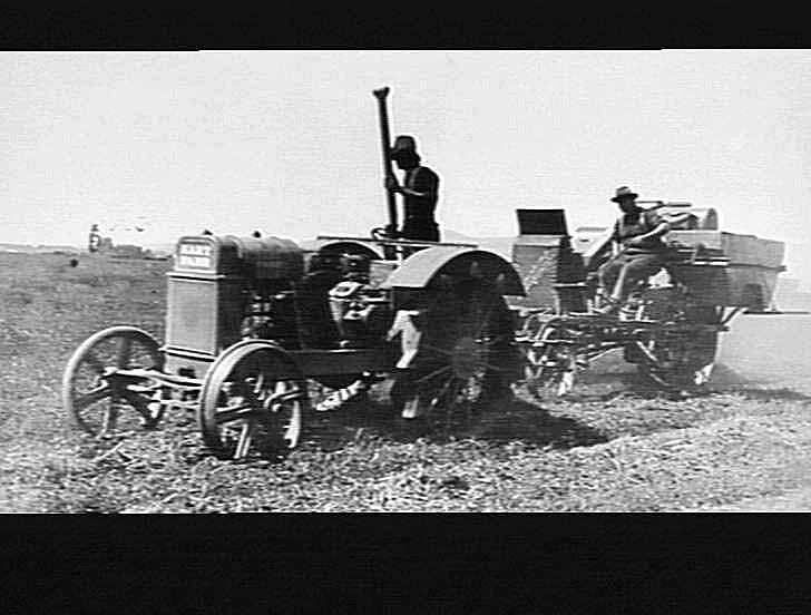 Header working in peas on Mr. G. W. Osborne's farm in a 40 bushel crop