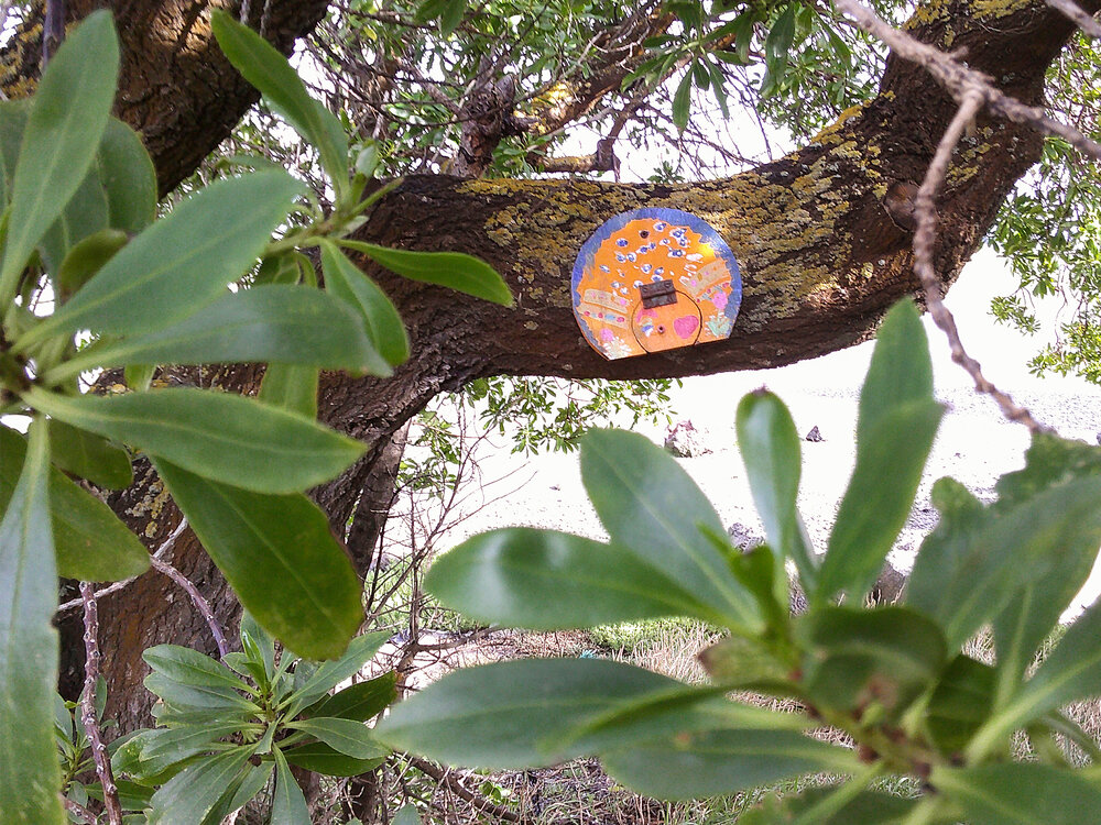 Inside Stories: Teresa Nguyen