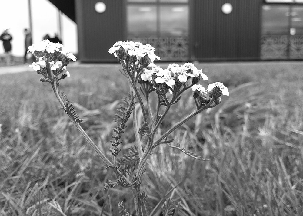 Inside Stories: Sachlyn Kaur