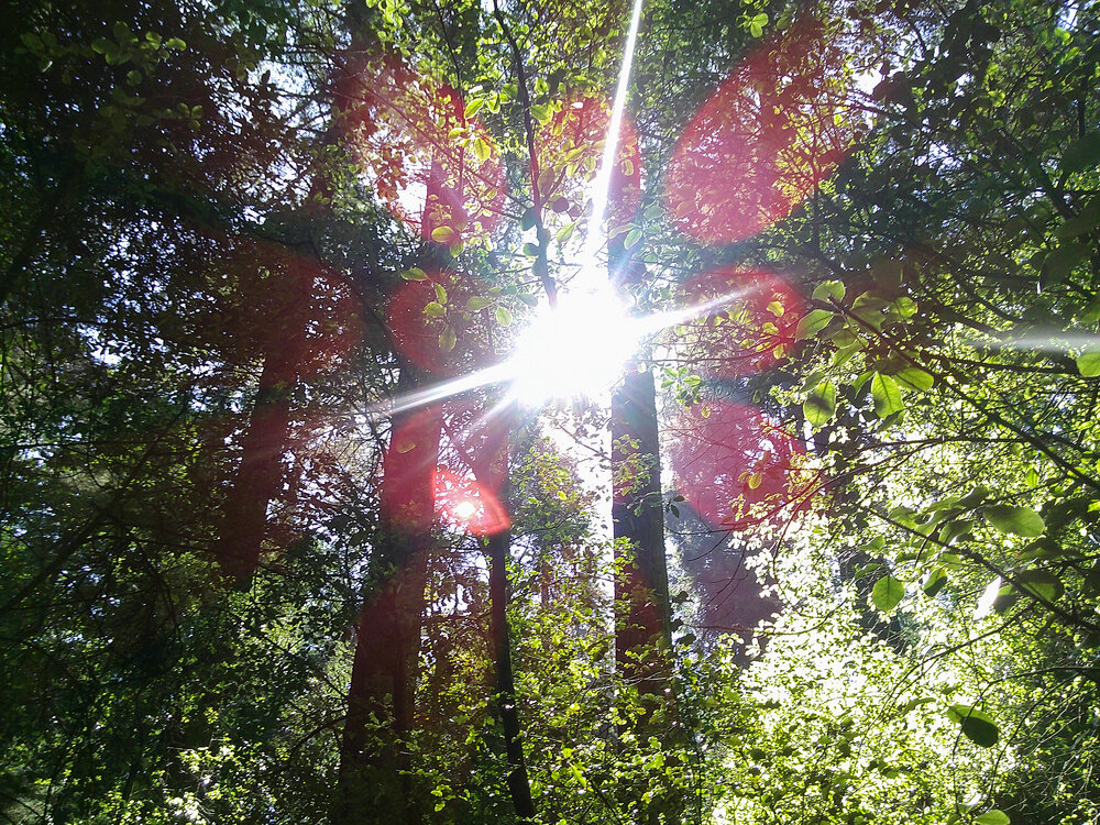 Inside Stories: Delilah Gallwas