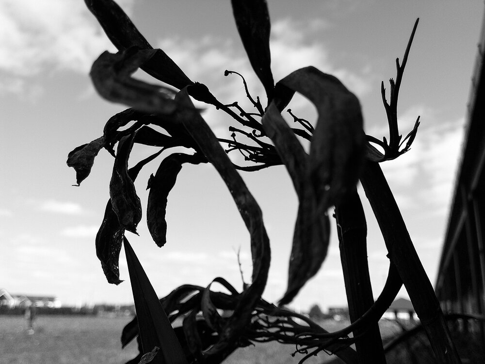 Inside Stories: Brendaline De Guzman