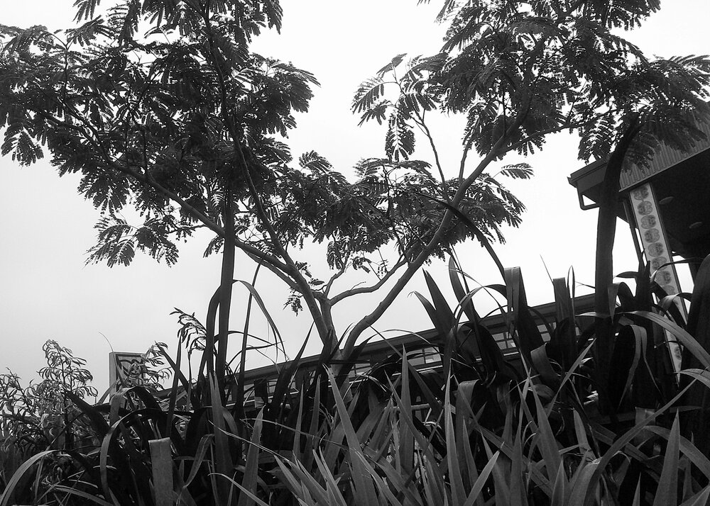 Inside Stories: Julia Reis