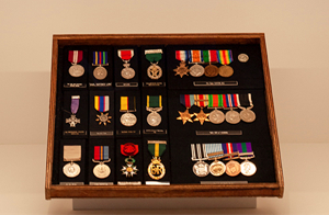 Medals from the Alan Polaschek Memorial Collection