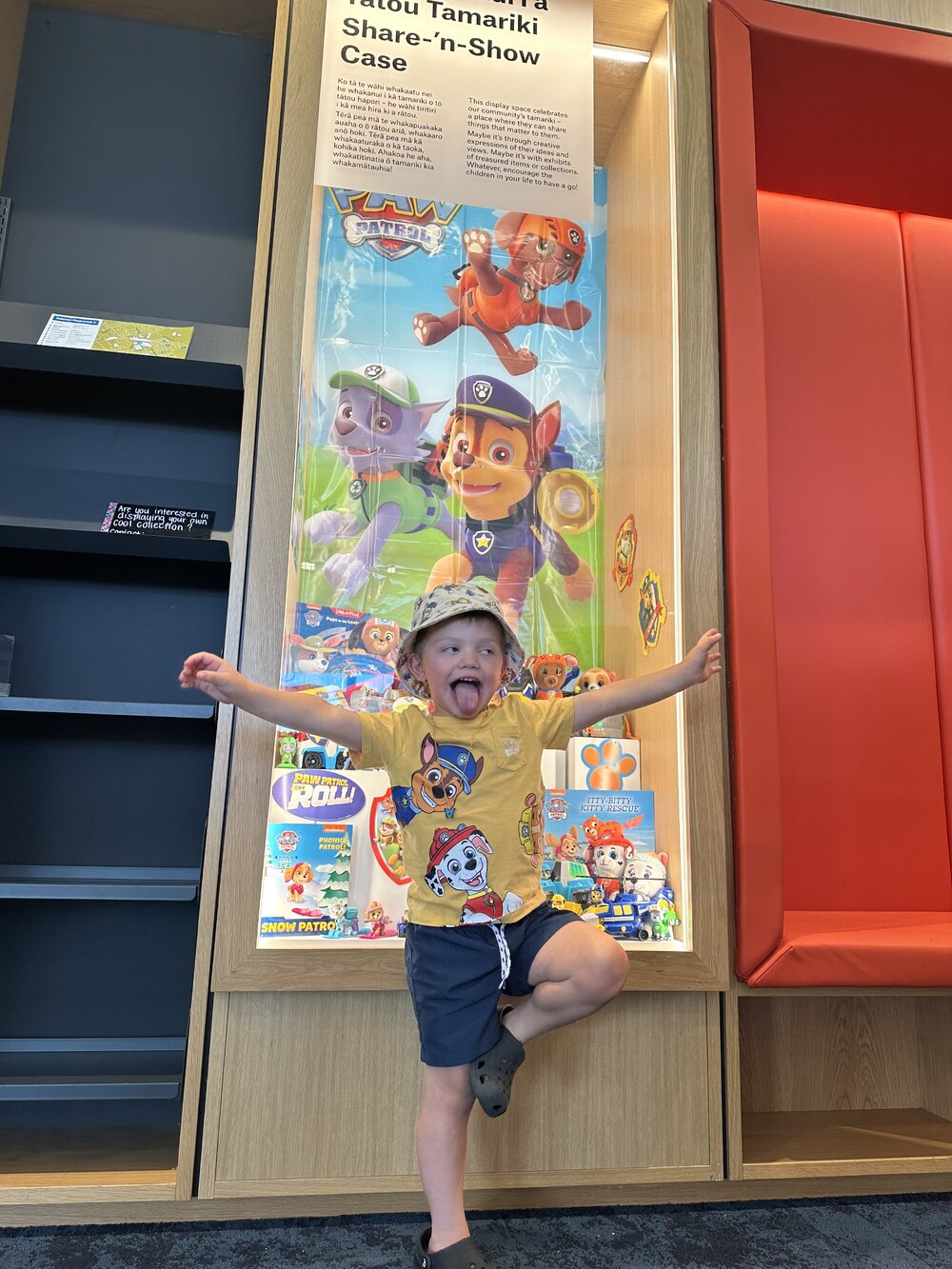 Luke and his Paw Patrol collection