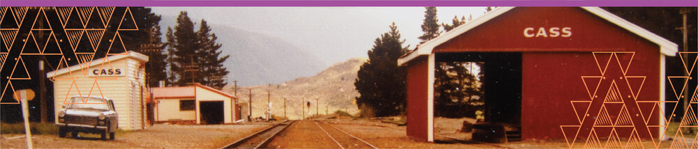 Selwyn Stories Banner_Selwyn Stories Banner_Cass