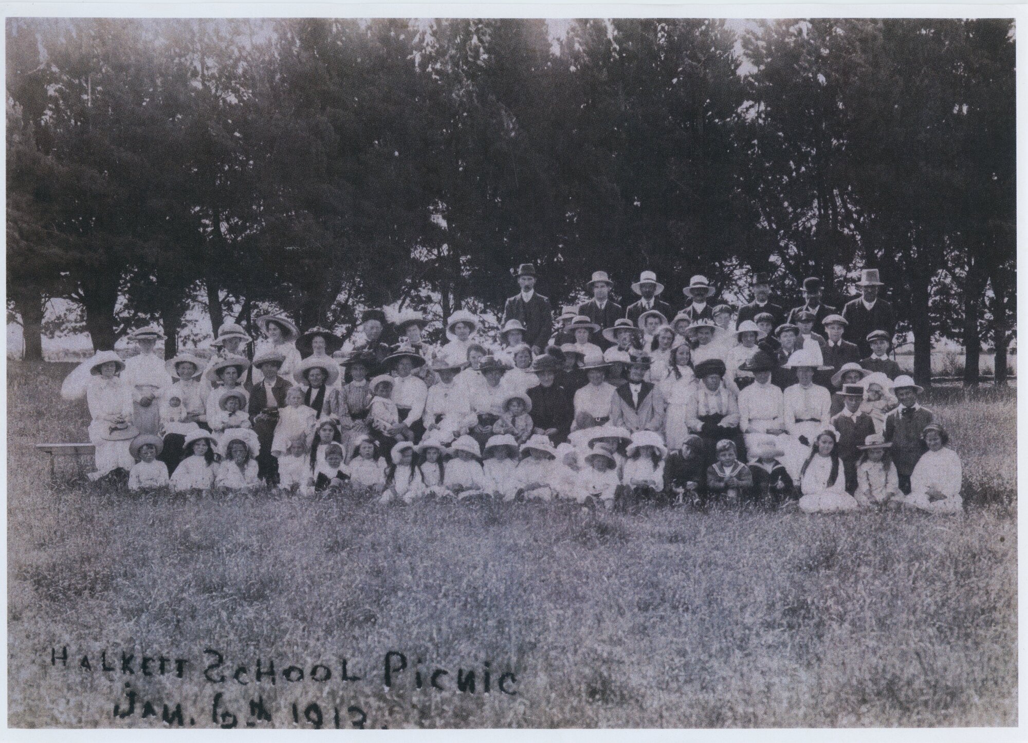 Halkett School picnic