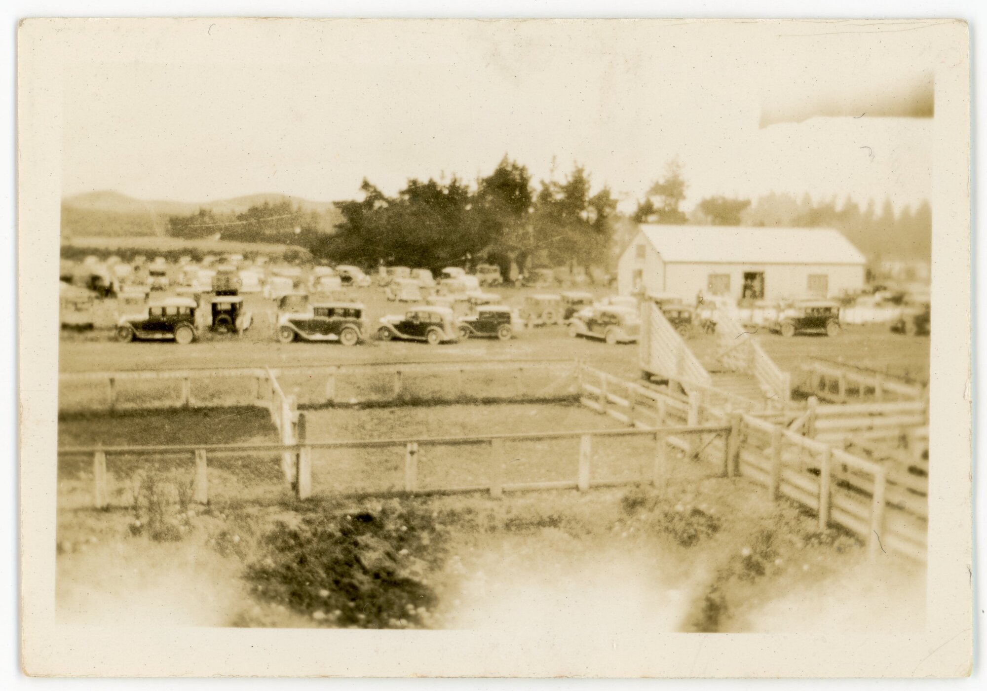 Coalgate saleyards
