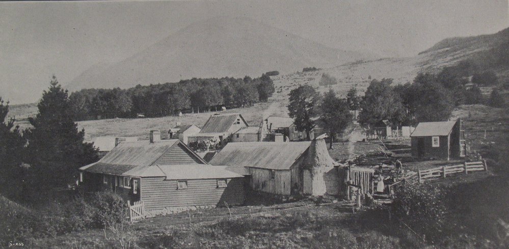 Homestead at Mount White Station, near the Cass River