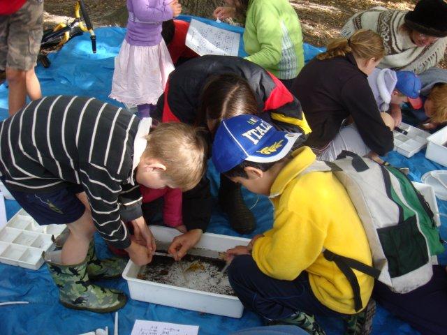 Water testing at the Liffey