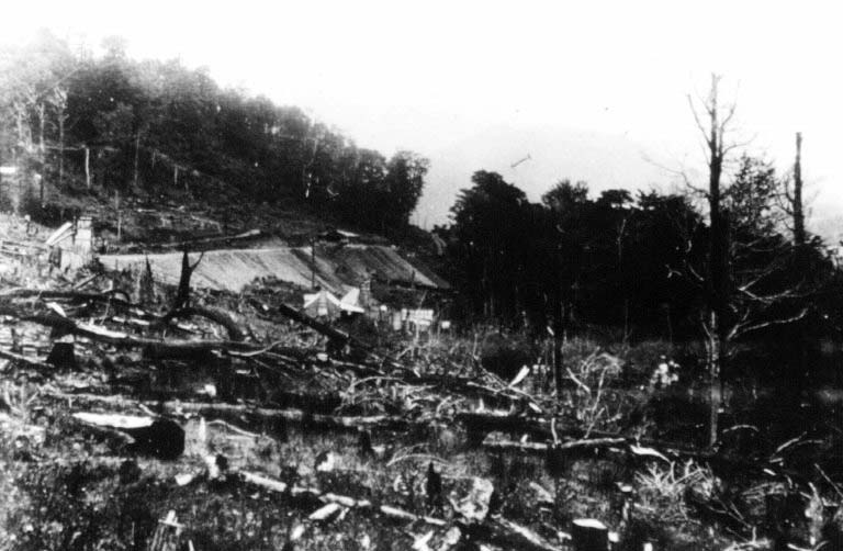 Cleared bush at Staircase Gully, 1898