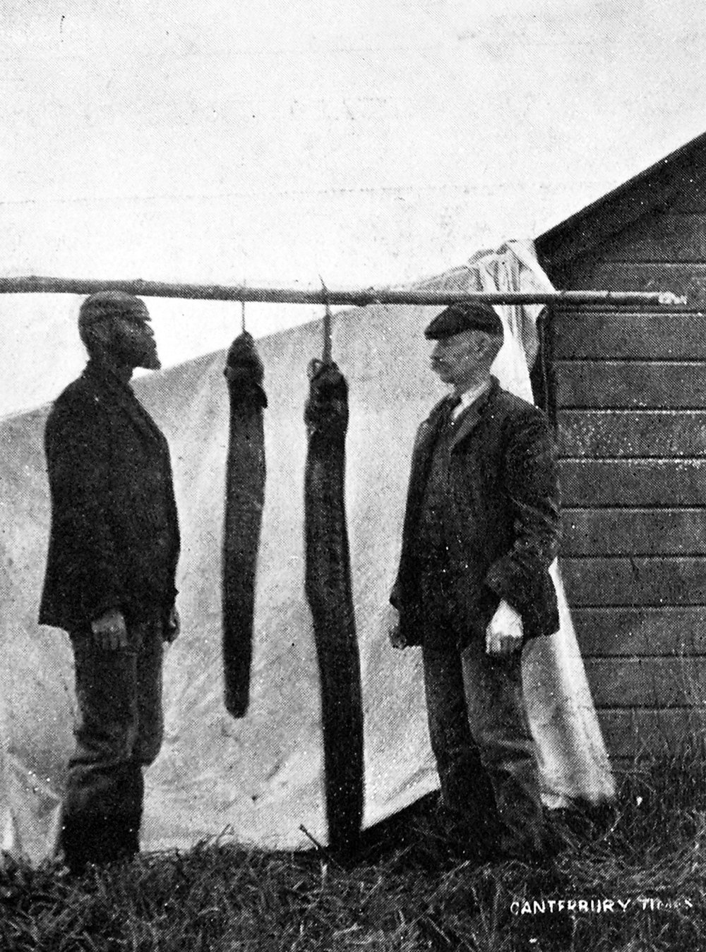 Men with eels, 1909