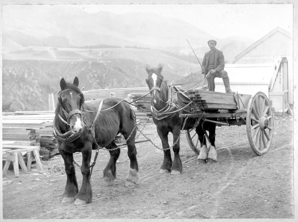 Alf Ferguson carting timber near Broken River