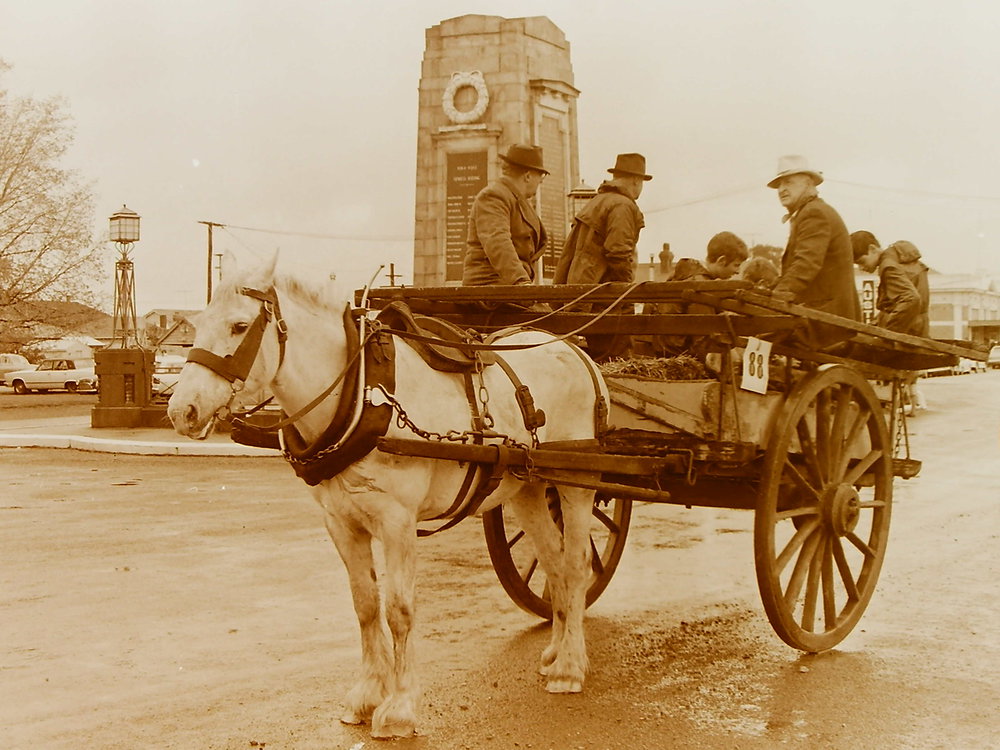 Horse and cart in Leeston procession 
