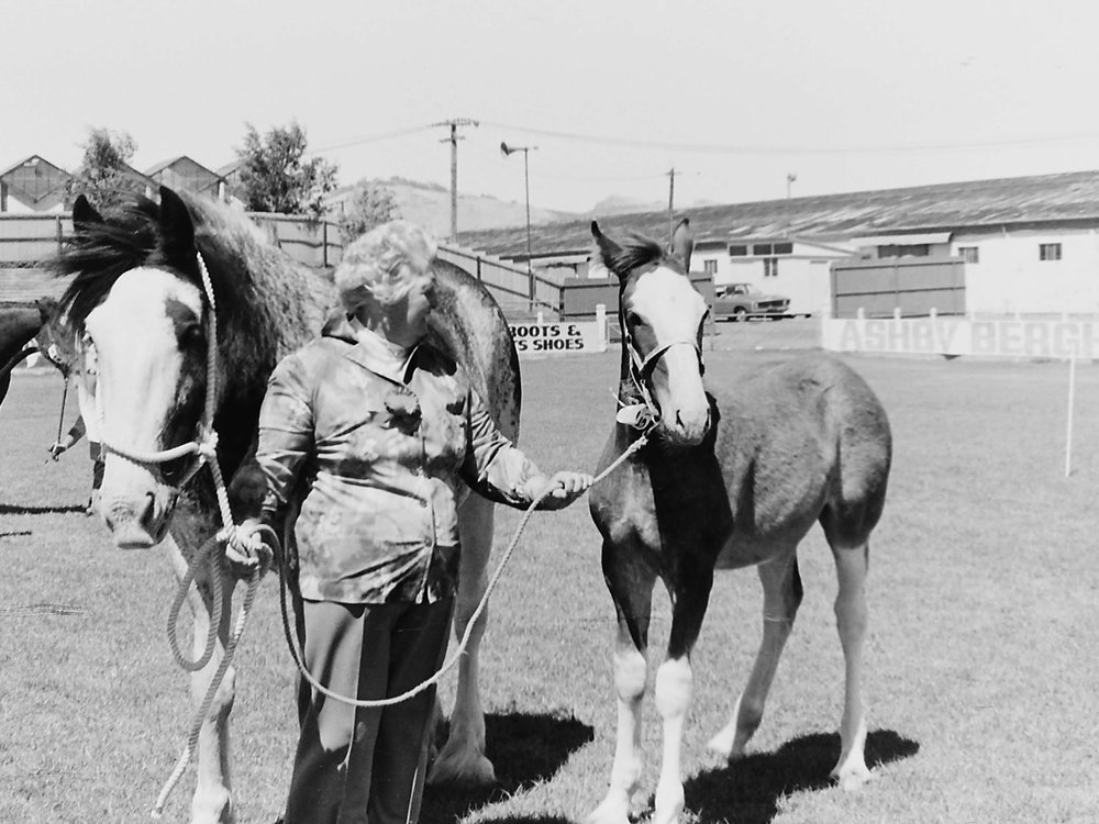 Horse show competitor