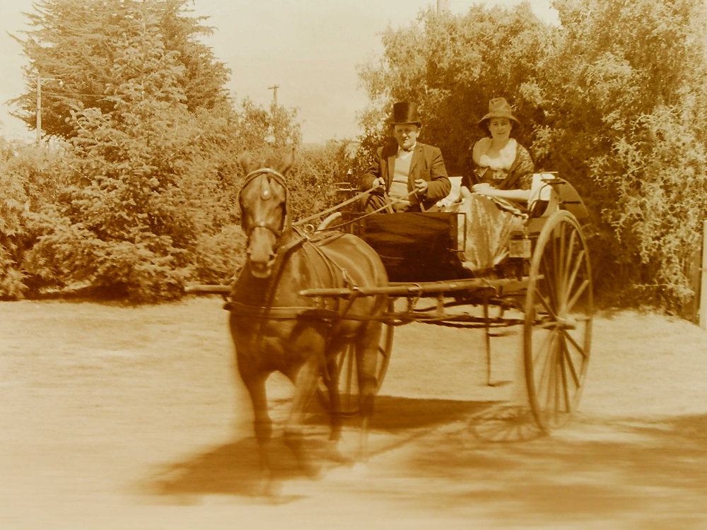Horse-drawn wagon
