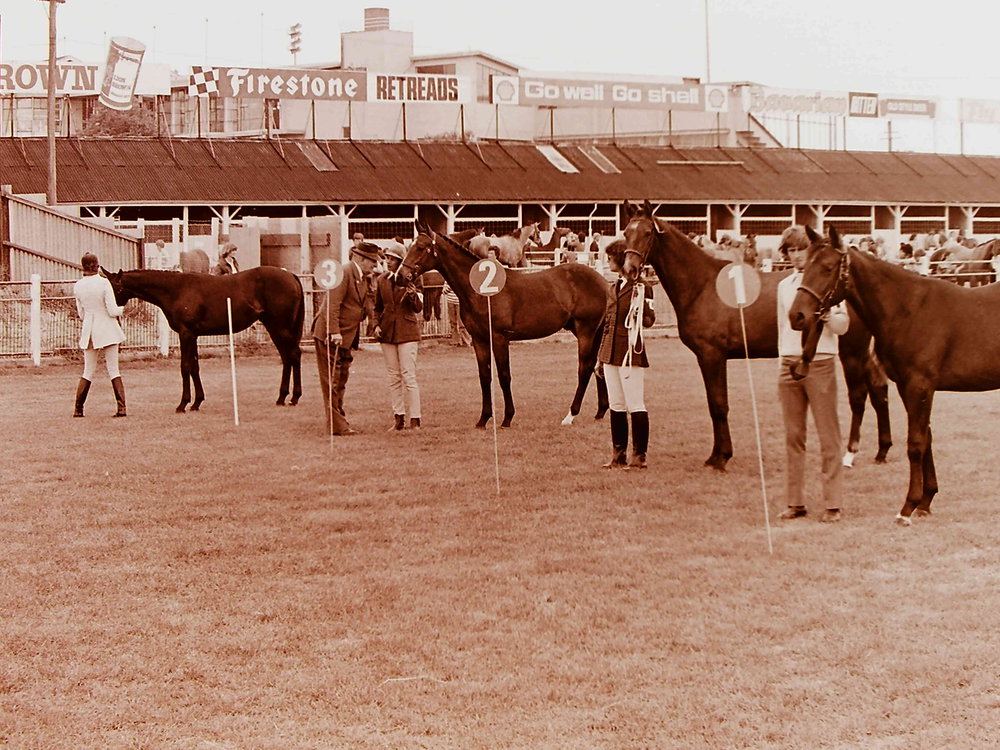 Horse breeders show, Addington showgrounds