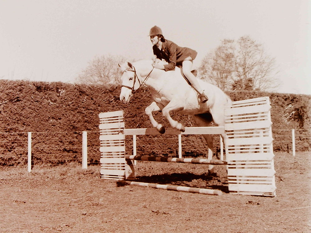 Horse and rider jumping at Show Jumping event