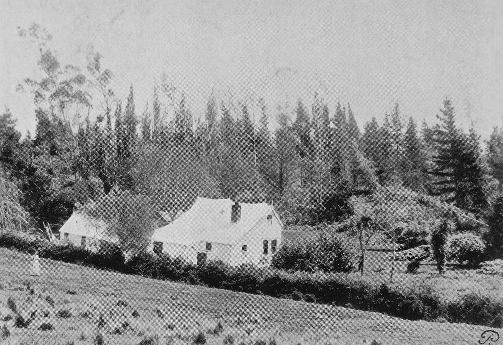 First Racecourse Hill homestead