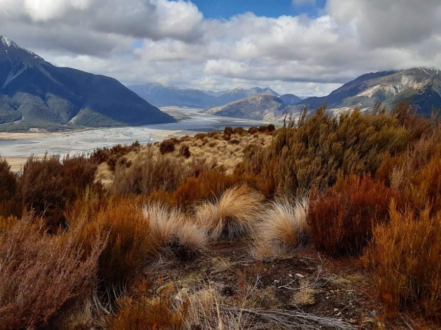 View from Bealey Spur Track
