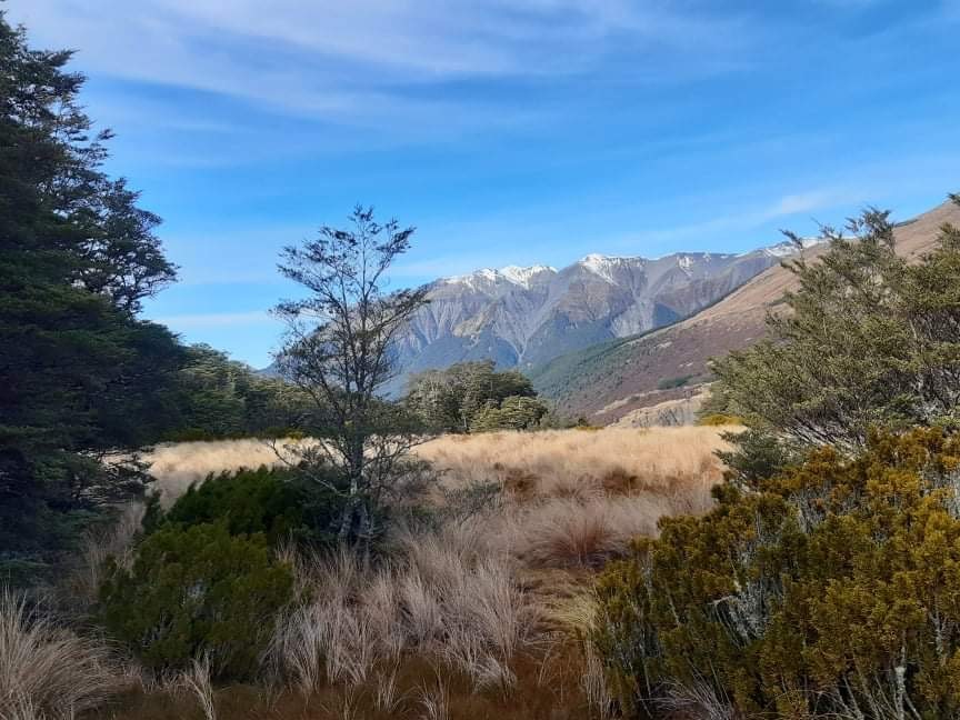 View from Bealey Spur Track