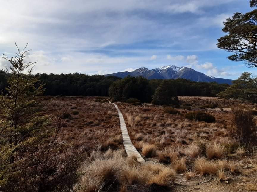 Bealey Spur Track