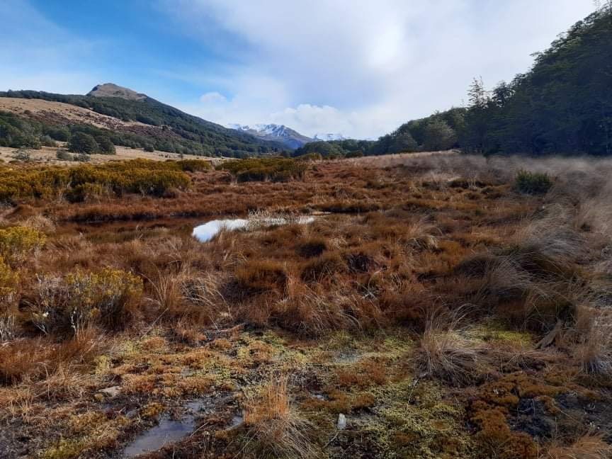 View from Bealey Spur Track