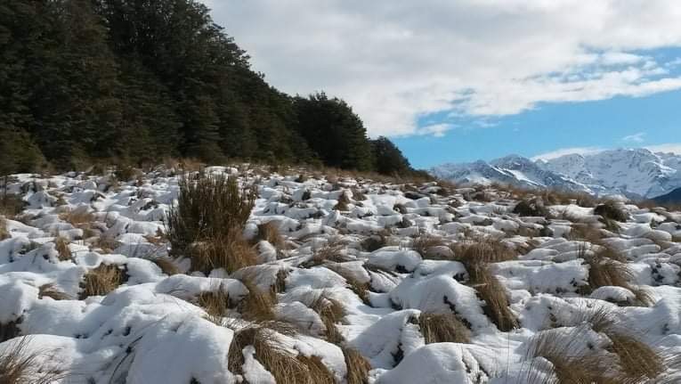 Snow at Bealey Spur