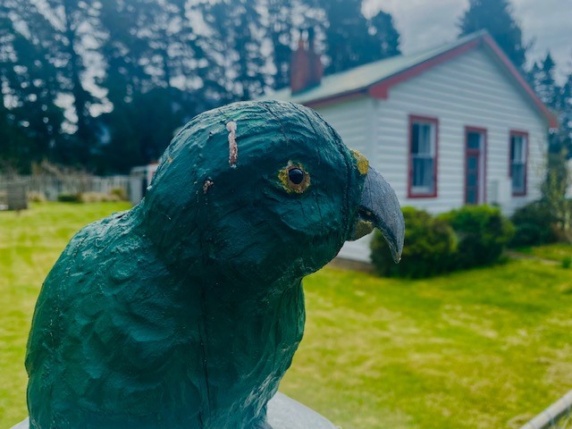 Kea on guard in Cass