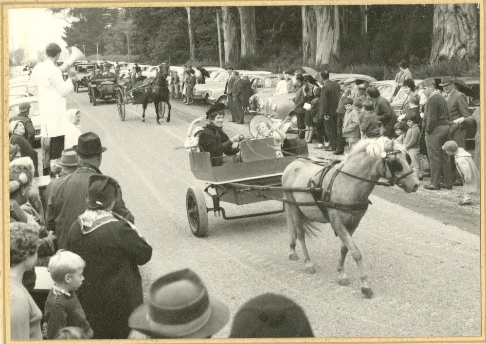 Horse and buggy at Courtenay School Centennial